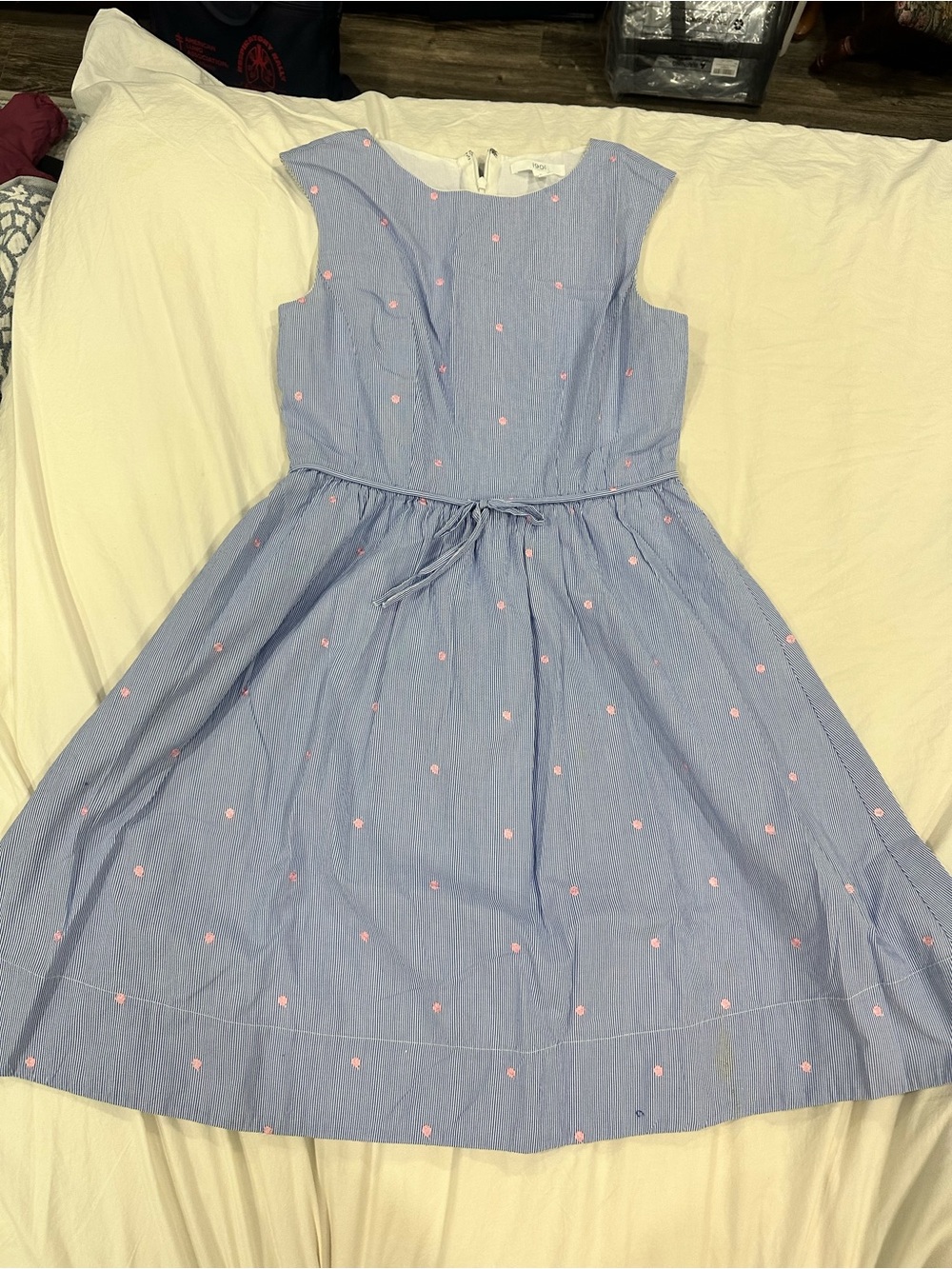 1901 Light Blue Sleeveless Dot Embroidered A-Line Dress